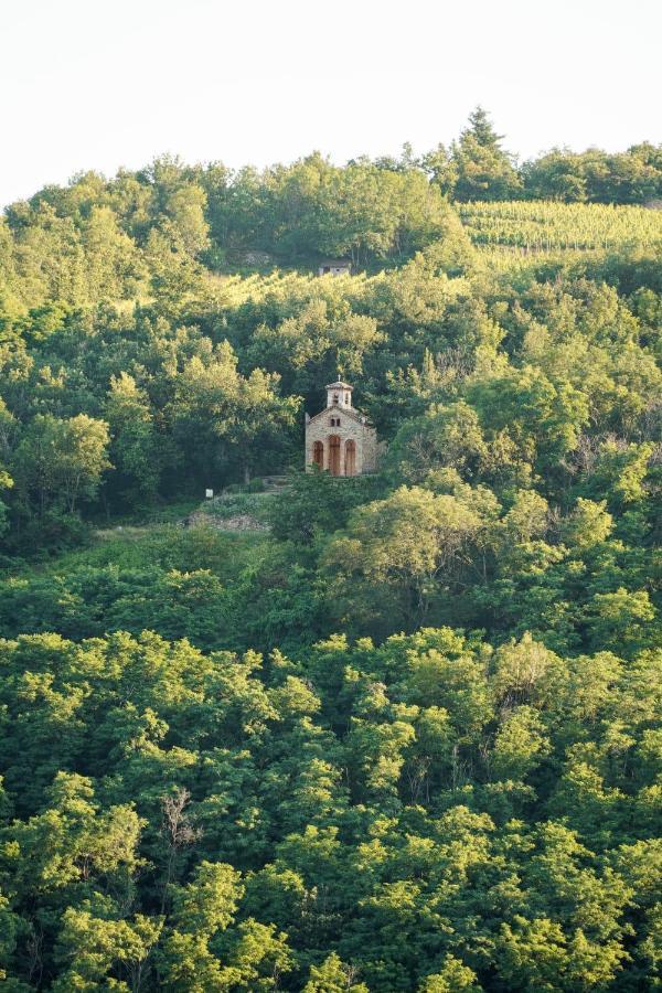 Отель Wine Passion Panoramic Chavanay Экстерьер фото