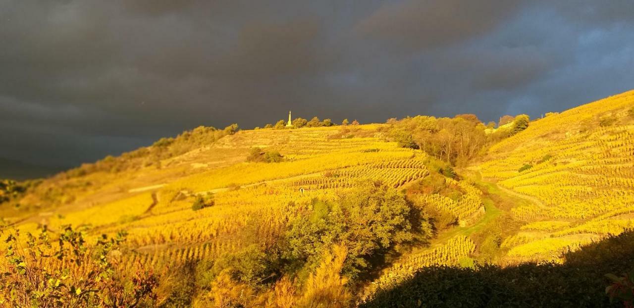 Отель Wine Passion Panoramic Chavanay Экстерьер фото