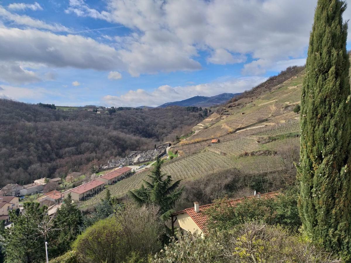 Отель Wine Passion Panoramic Chavanay Экстерьер фото